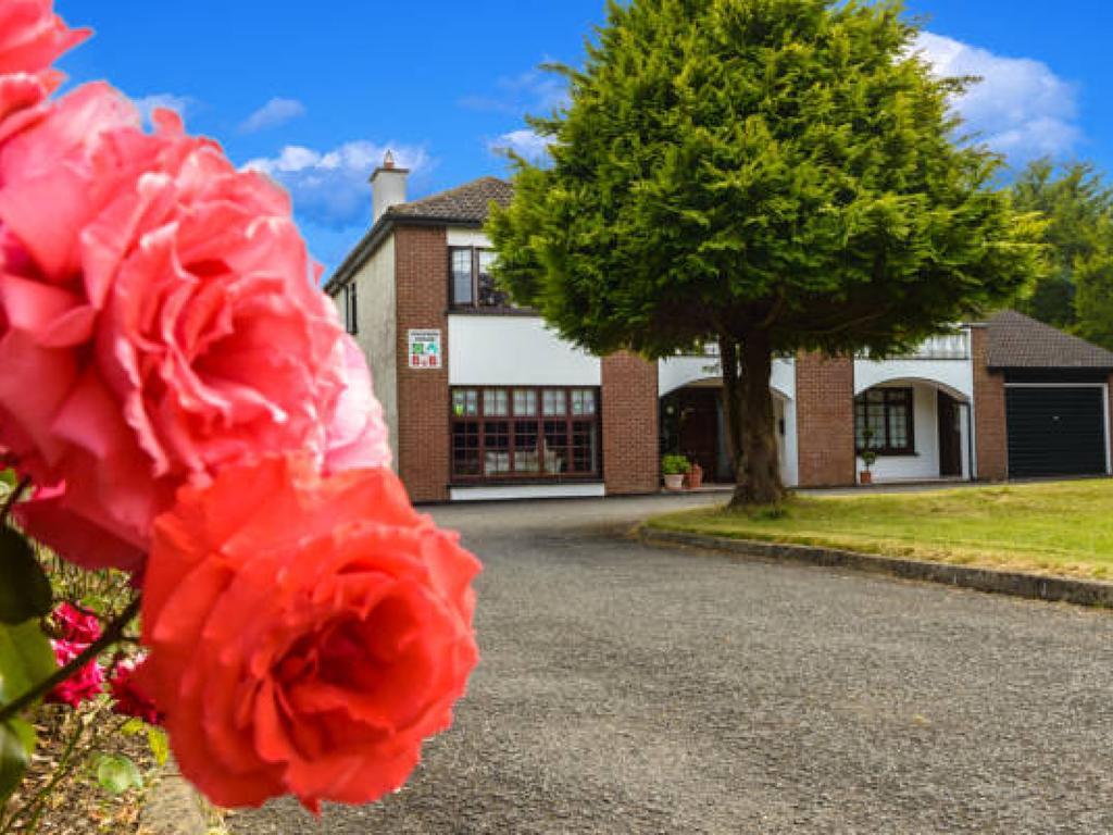 Killowen House B&B Drogheda Extérieur photo