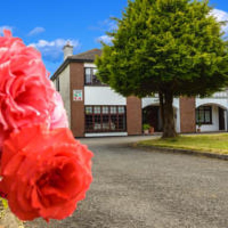 Killowen House B&B Drogheda Extérieur photo